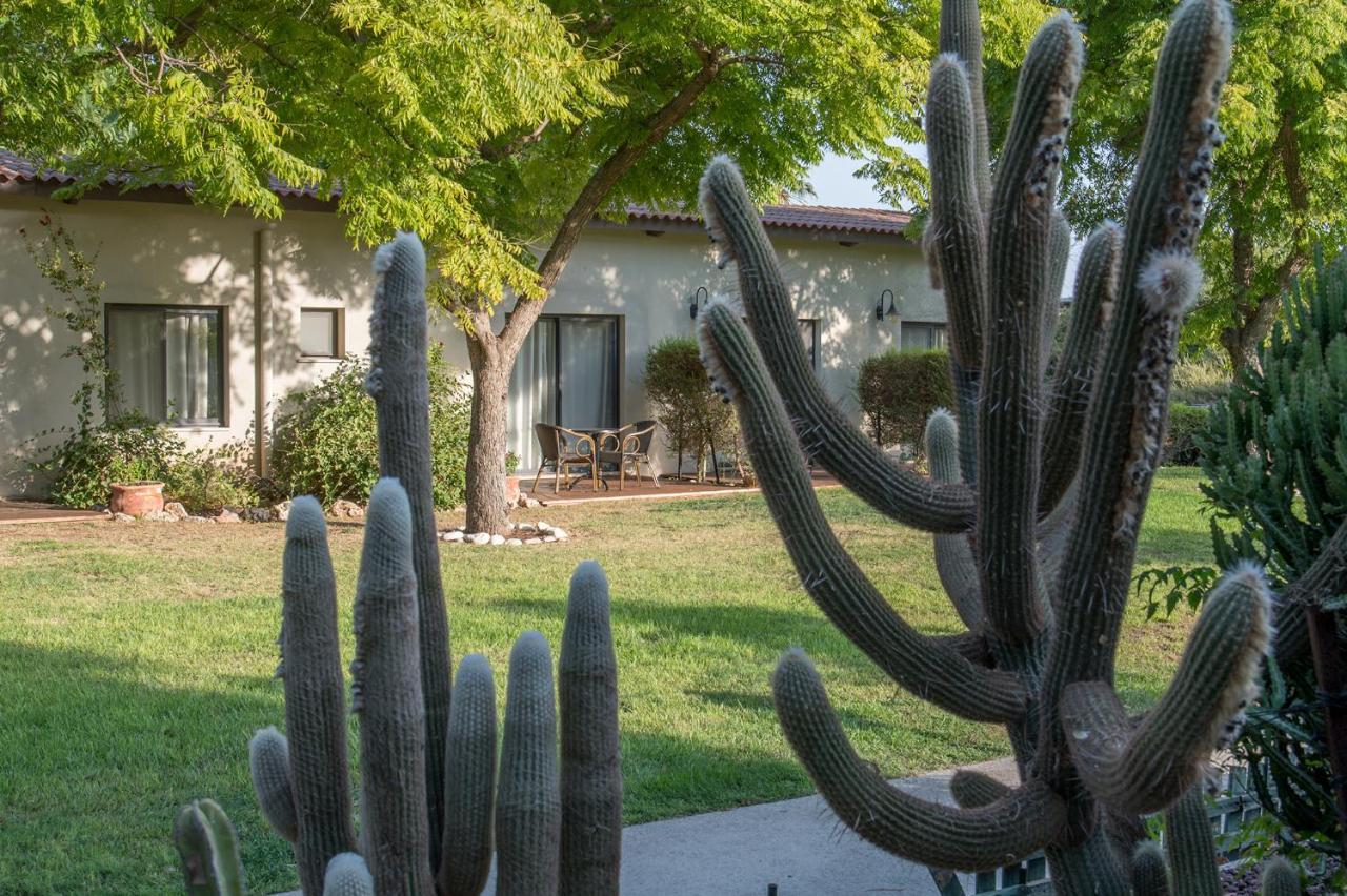 Degania Bet Kibbutz Country Lodging Hotel Kinneret Bagian luar foto